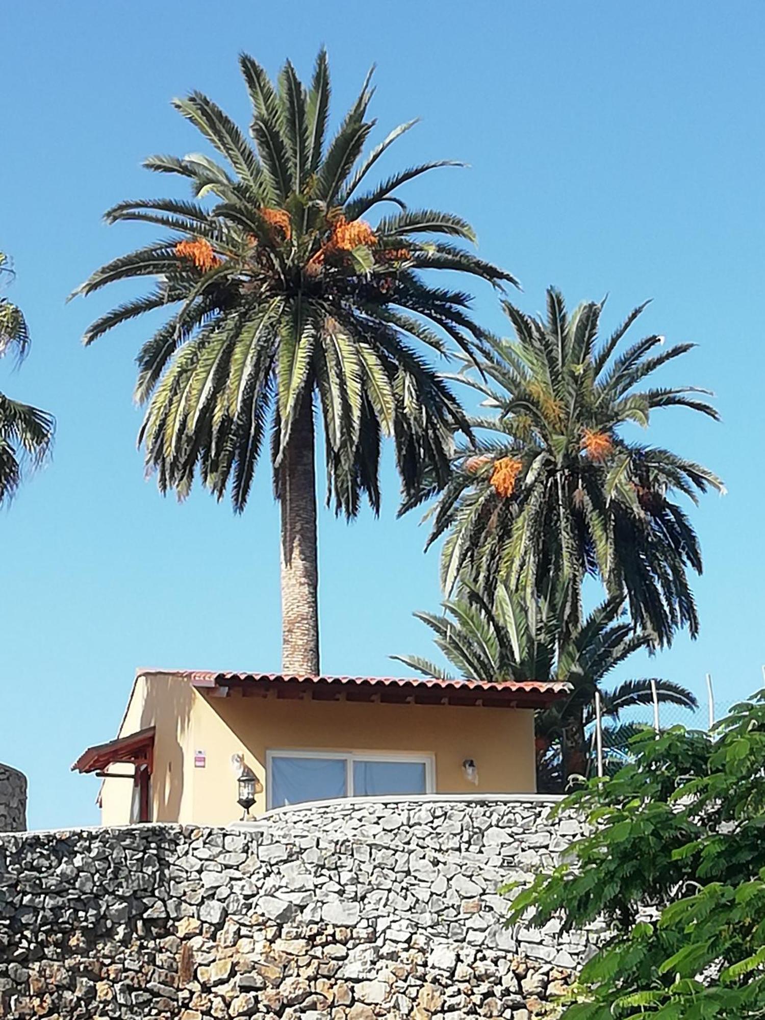 Tapias, Glorieta Ferienhaus *
